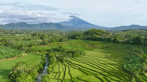 Sawah berundak
